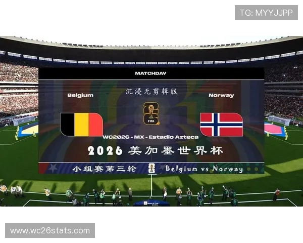 2026年美加墨世界杯决赛场地的安全保障体系与应急预案分析